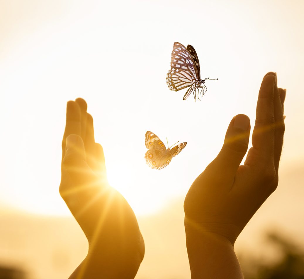 The girl frees the butterfly from  moment Concept of freedom